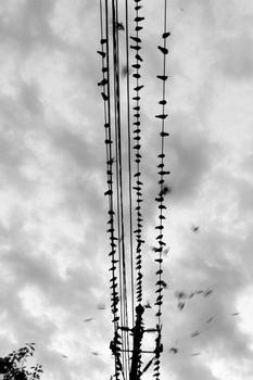 ����͸��ƫ���۾���Ƶ�����Ϲ�����ŦԼ�ߵ��̵ꡰѪƴ�� ���΢Ц(ͼ)...